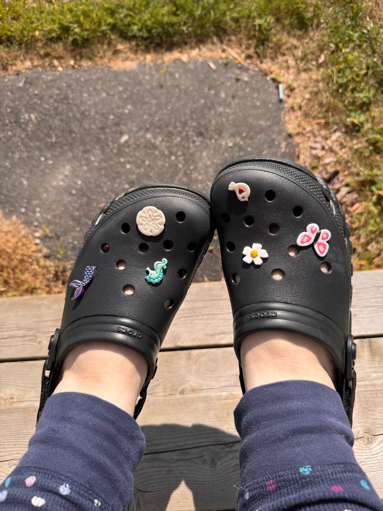 To Croc Or Not To Croc