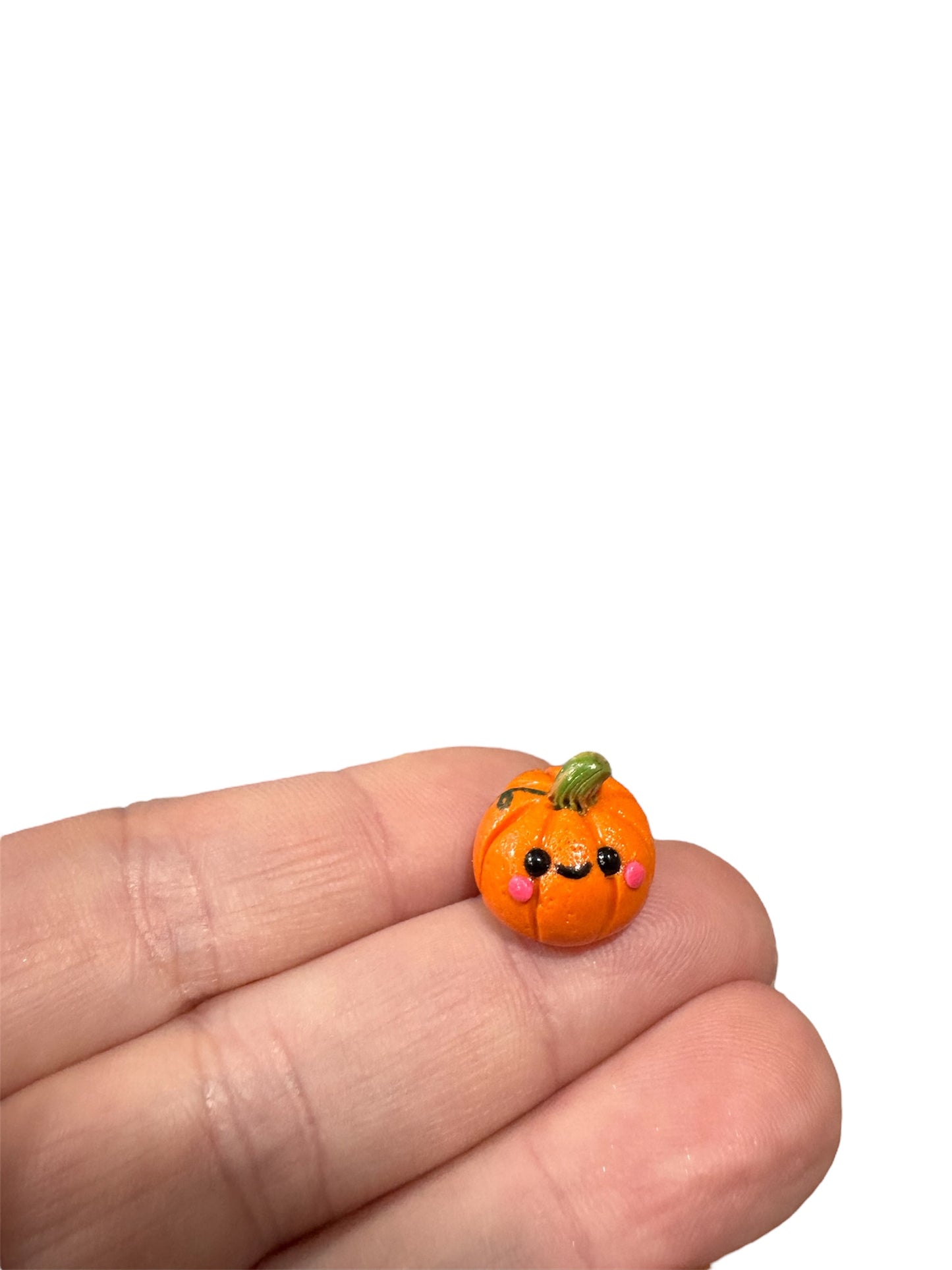 Pet Pumpkins
