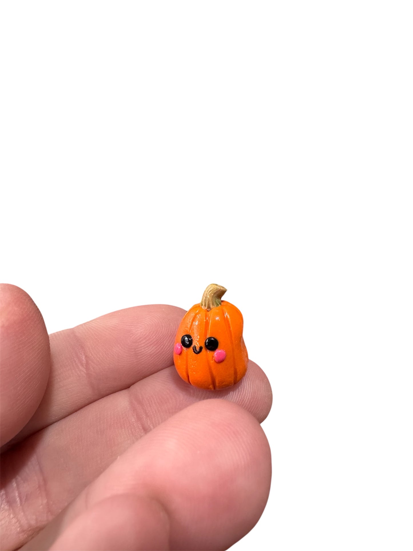 Pet Pumpkins