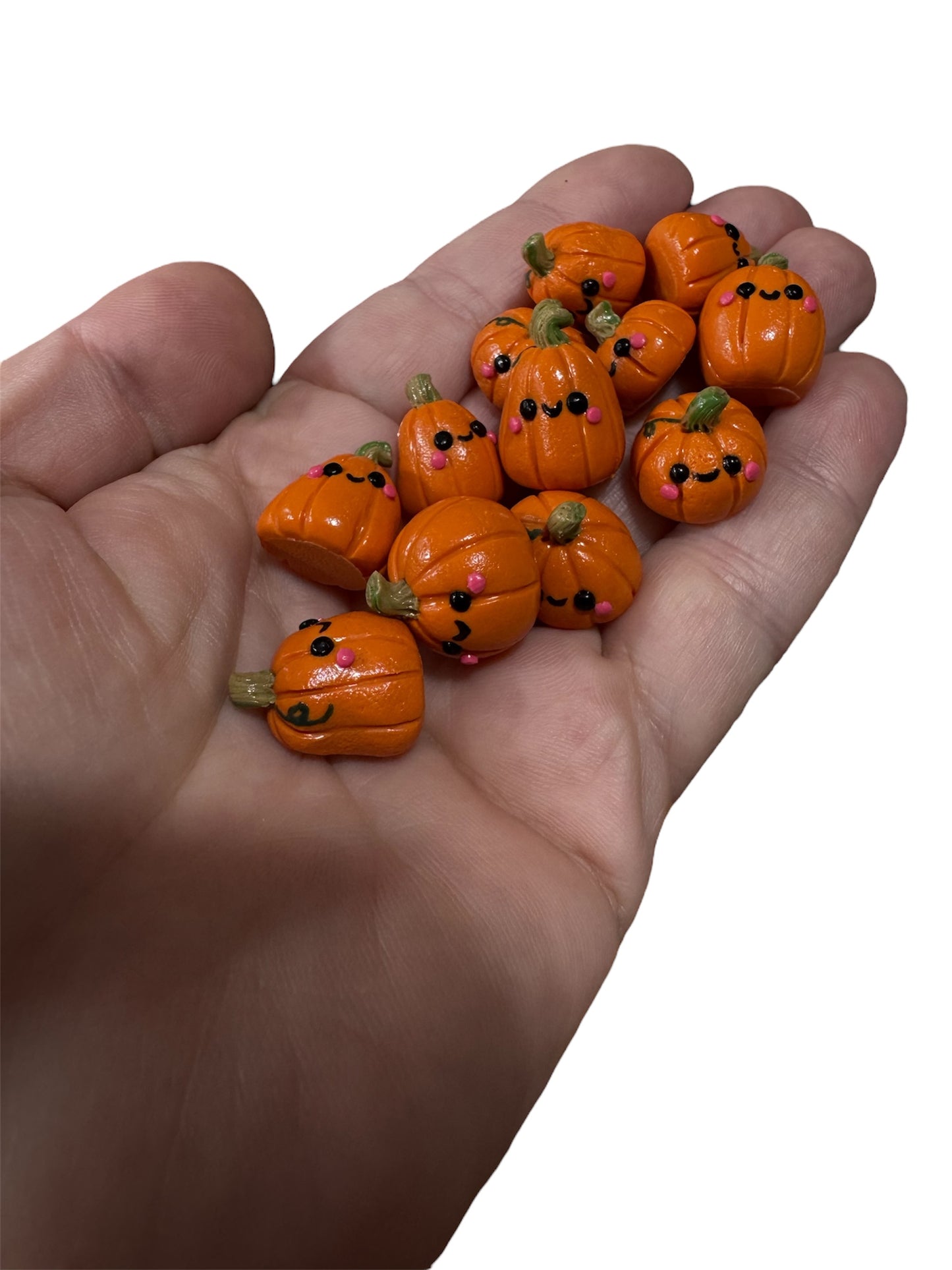 Pet Pumpkins