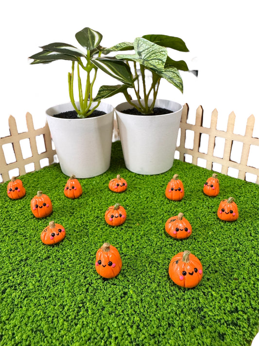 Pet Pumpkins