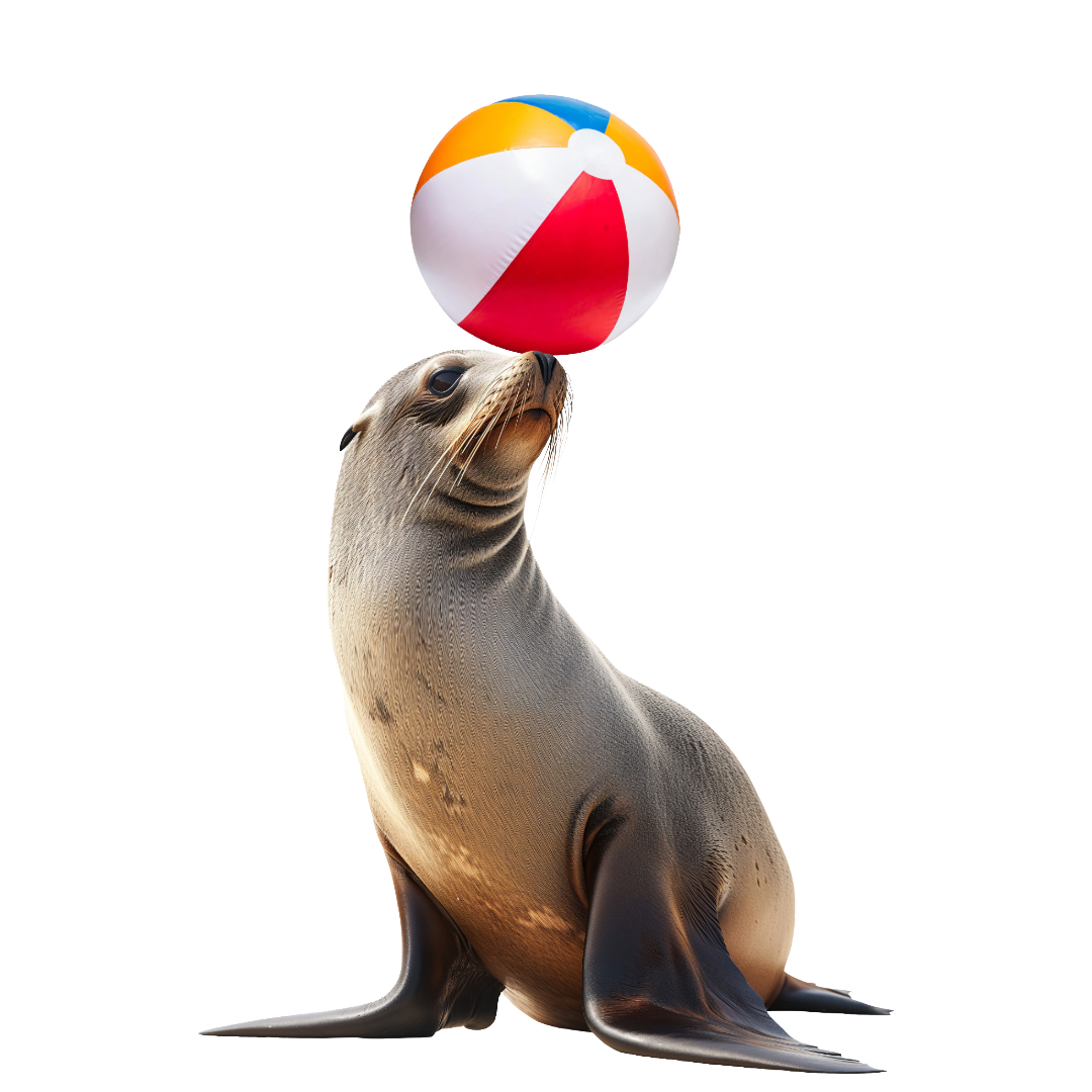 Seal balancing a colourful beach ball, representing step two: Seal the deal